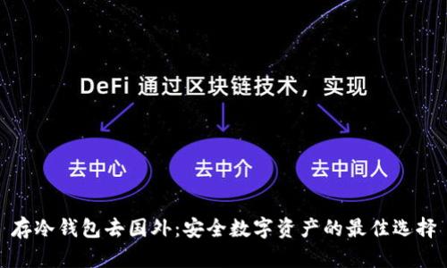 存冷钱包去国外：安全数字资产的最佳选择