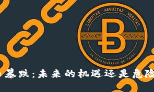 加密货币暴跌：未来的机遇还是危险的深渊？