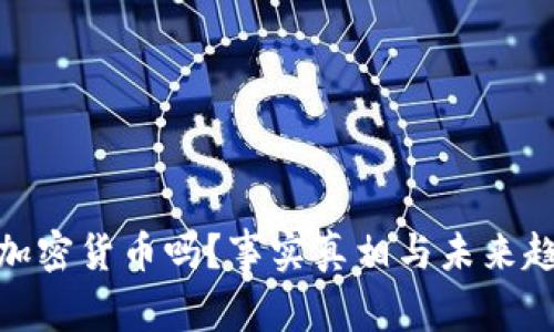 企业会加密货币吗？事实真相与未来趋势探讨