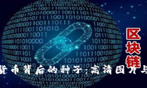探索加密货币背后的种子：高清图片与投资机会