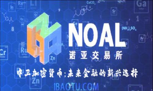 中卫加密货币：未来金融的新兴选择