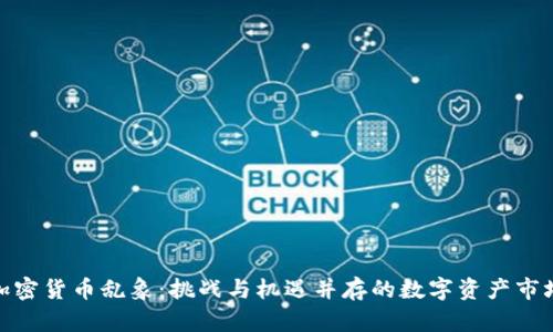 加密货币乱象：挑战与机遇并存的数字资产市场