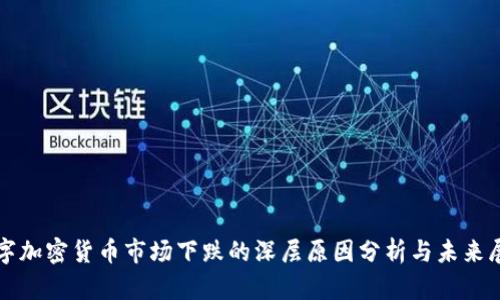 数字加密货币市场下跌的深层原因分析与未来展望