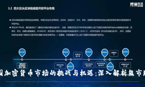 韩国加密货币市场的挑战与机遇：深入解析熊市现象