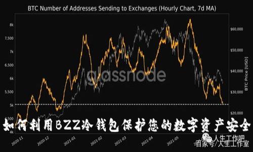 如何利用BZZ冷钱包保护您的数字资产安全