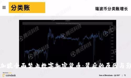 新加坡全面禁止数字加密货币：背后的原因与影响