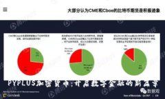 PYPLUS加密货币：开启数字