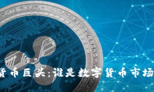 揭秘加密货币巨头：谁是数字货币市场的领军者？