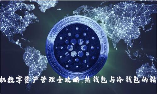 HTC手机数字资产管理全攻略：热钱包与冷钱包的精彩对比
