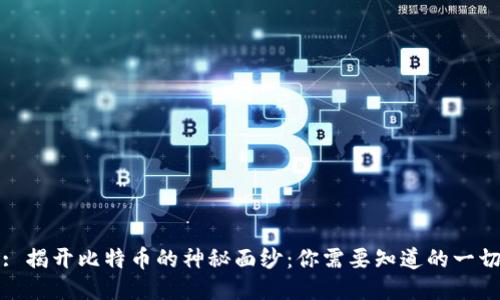 : 揭开比特币的神秘面纱：你需要知道的一切