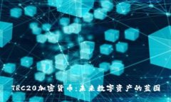 TRC20加密货币：未来数字资产的蓝图