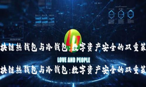 区块链热钱包与冷钱包：数字资产安全的双重策略

区块链热钱包与冷钱包：数字资产安全的双重策略