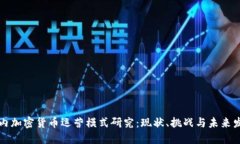国内加密货币运营模式研究：现状、挑战与未来