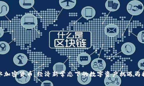 放水加密货币：经济新常态下的数字资产机遇与挑战