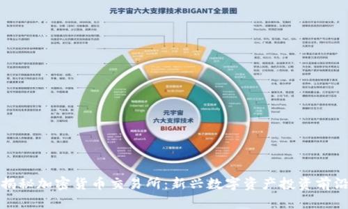 揭秘加密货币交易所：新兴数字资产投资前沿