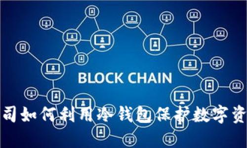 上市公司如何利用冷钱包保护数字资产安全