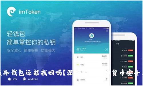 泰达币被盗冷钱包还能找回吗？深度解析虚拟货币安全与找回策略