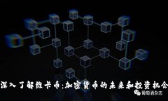 深入了解维卡币：加密货币的未来和投资机会