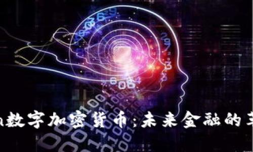 揭秘fon数字加密货币：未来金融的革命力量
