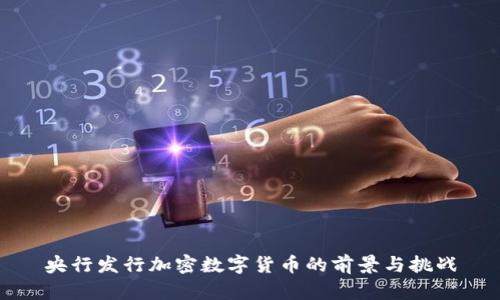 央行发行加密数字货币的前景与挑战