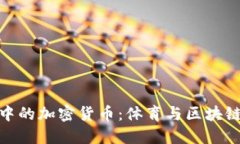 探索美洲杯中的加密货币：体育与区块链的完美